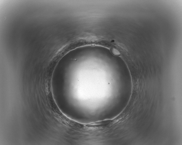 X0000062141205200512121232