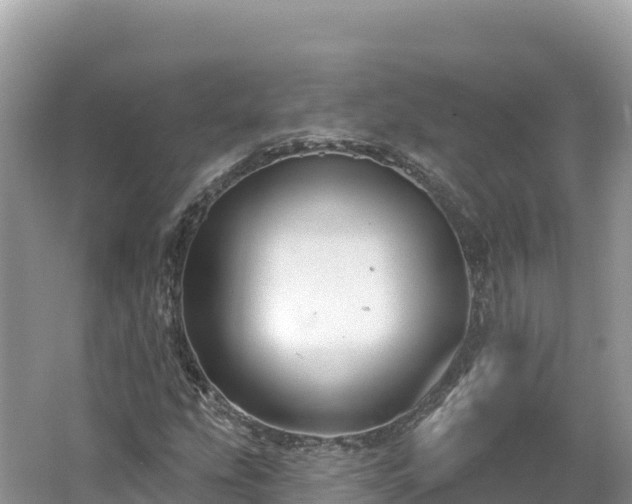 X0000062141207200512121232