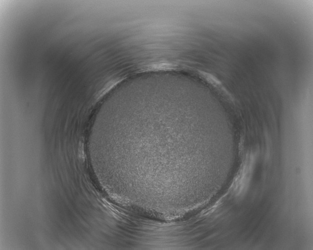 X0000062141209200512121232