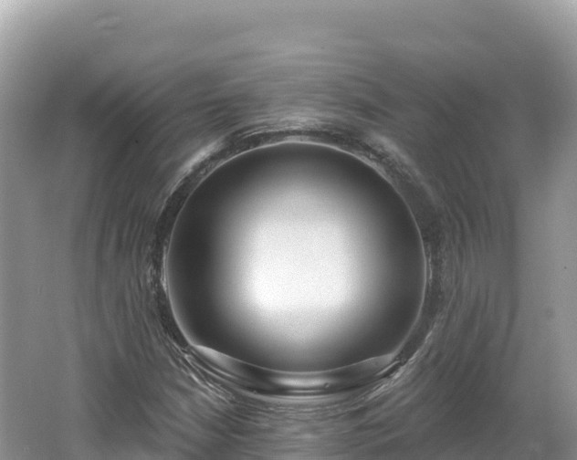 X0000062141210200512121232