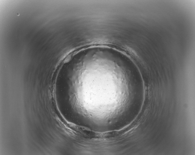 X0000062141212200512121233