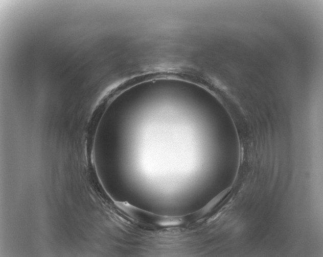 X0000062141214200512121233