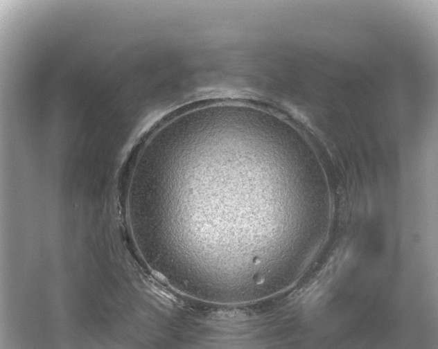 X0000062141215200512121233