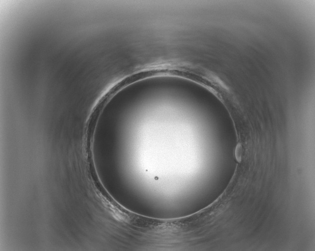 X0000062141216200512121233