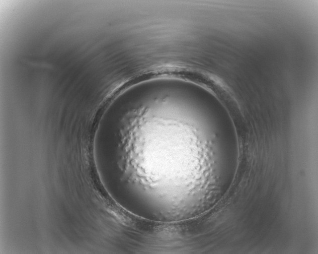 X0000062141217200512121233