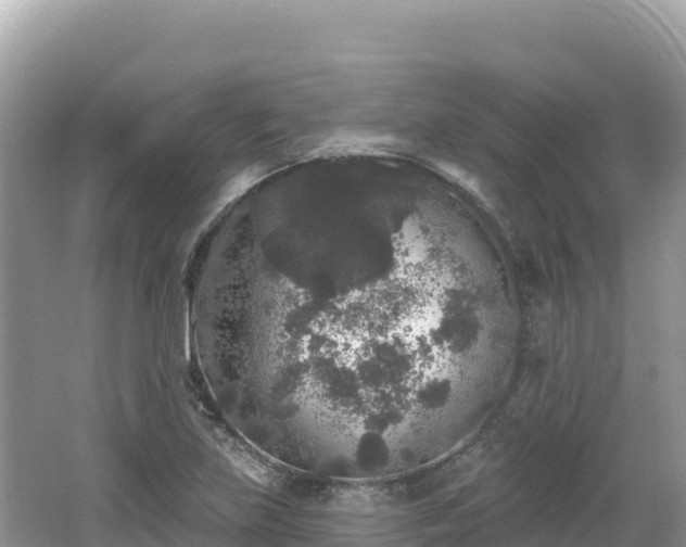 X0000062141219200512121233