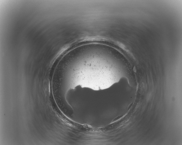 X0000062141221200512121233