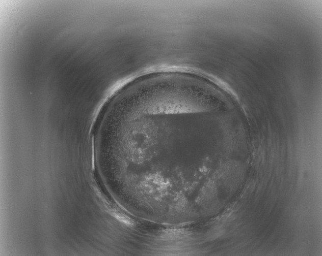 X0000062141223200512121233