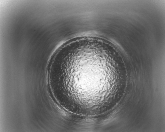 X0000062141224200512121233