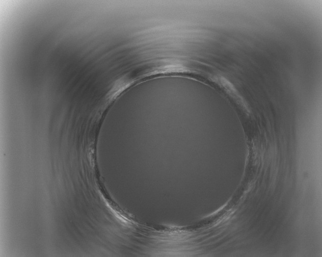 X0000062141225200512121233