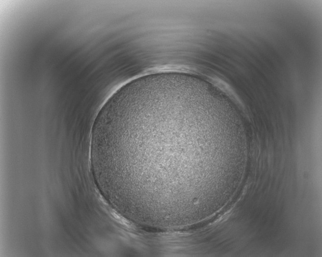 X0000062141228200512121233