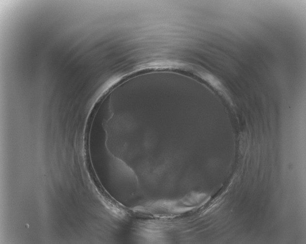 X0000062141229200512121233