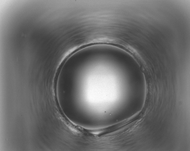 X0000062141230200512121233