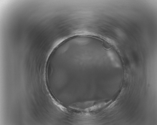 X0000062141231200512121233