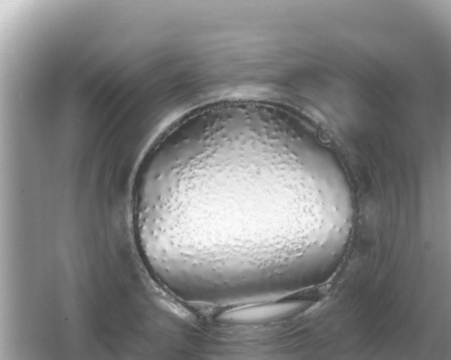 X0000062141232200512121233