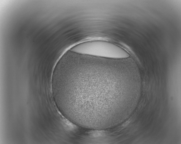 X0000062141236200512121233