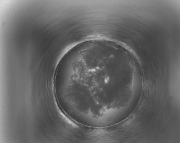 X0000062141239200512121233