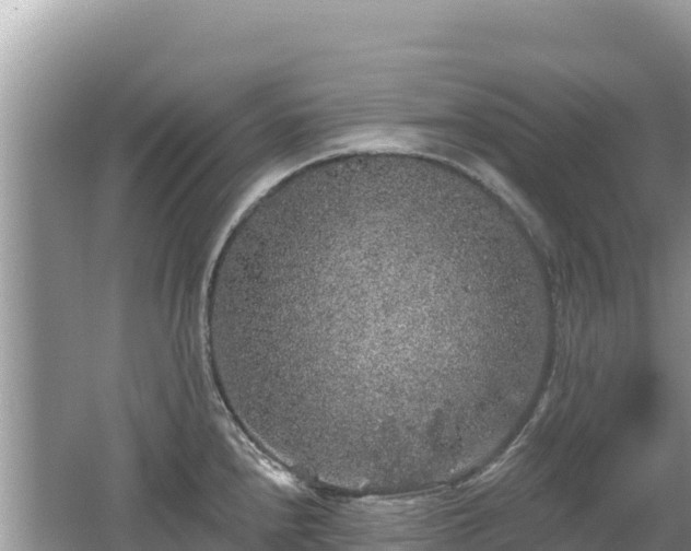 X0000062141240200512121233