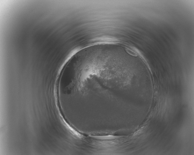 X0000062141243200512121233