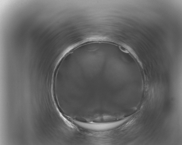 X0000062141245200512121233