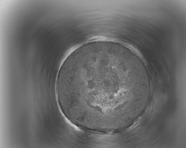 X0000062141247200512121233