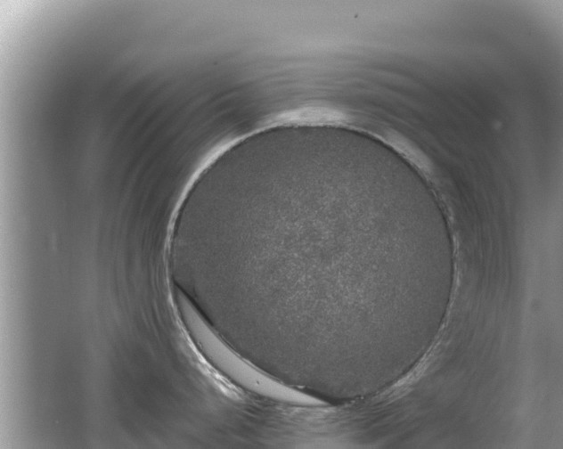 X0000062141248200512121233