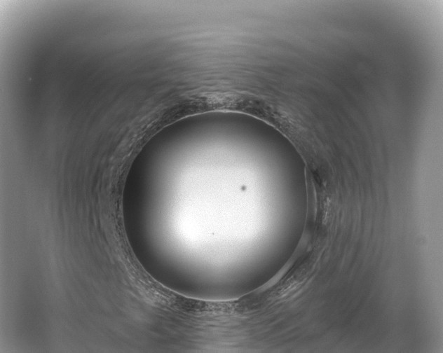 X0000062141249200512121232