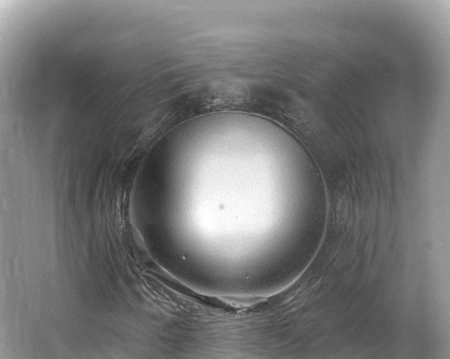 X0000062141250200512121232