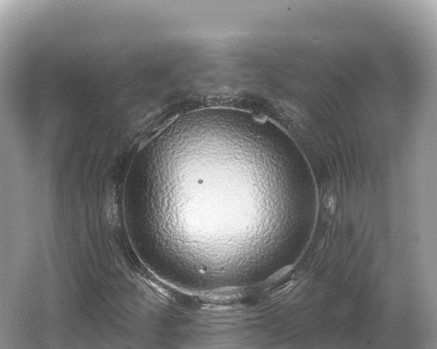 X0000062141252200512121232