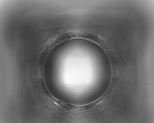 X0000062141253200512121232