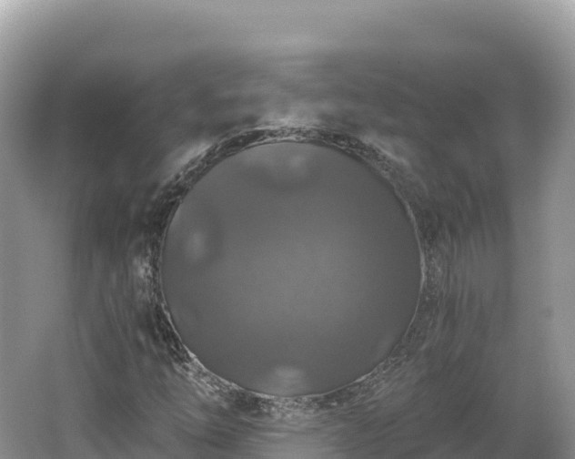 X0000062141254200512121232