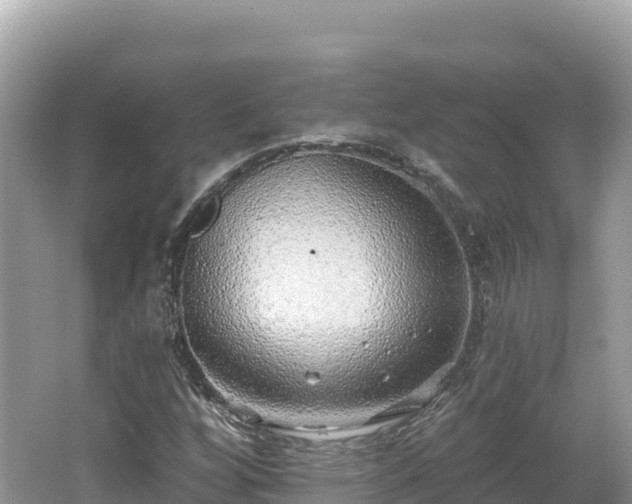 X0000062141256200512121232