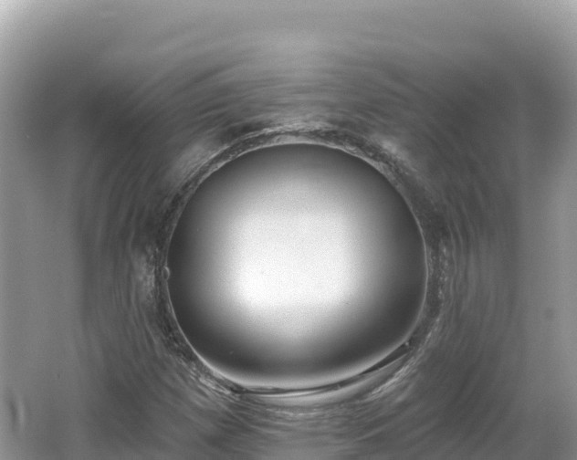 X0000062141257200512121232