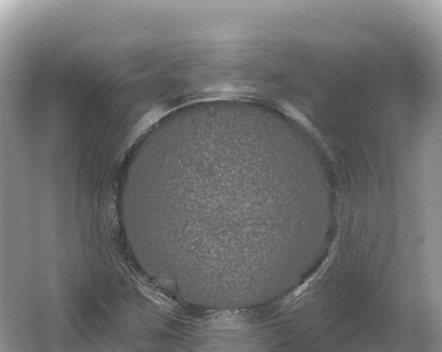 X0000062141259200512121232