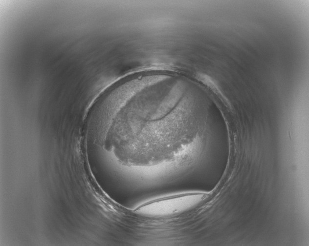 X0000062141260200512121232