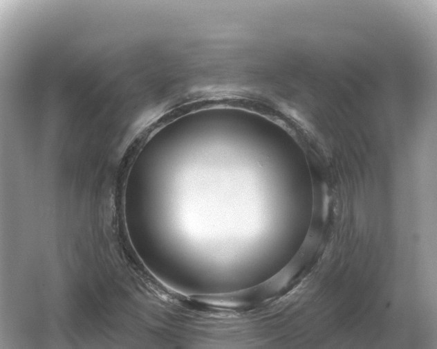 X0000062141261200512121232