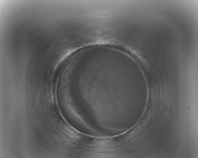 X0000062141262200512121232