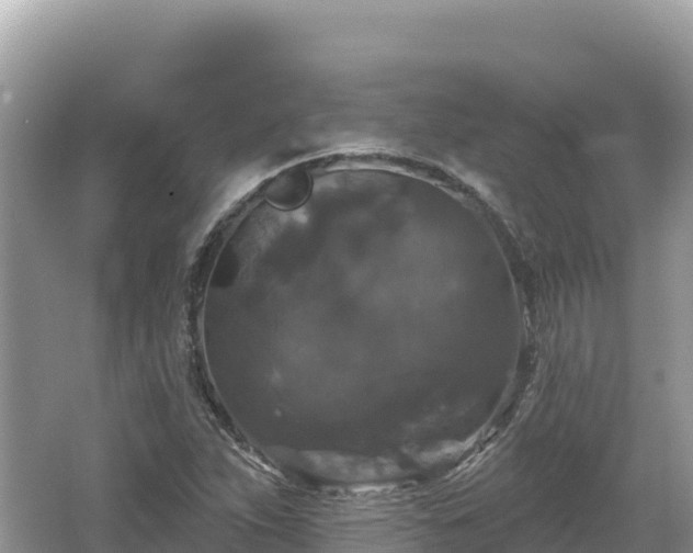 X0000062141263200512121232