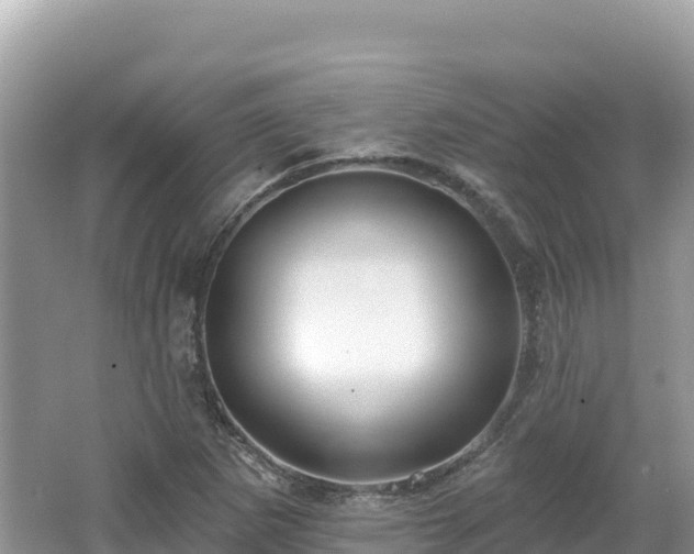 X0000062141265200512121232