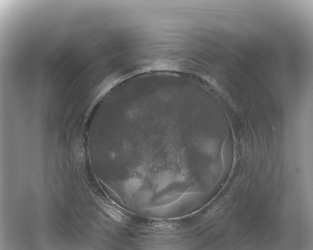 X0000062141266200512121232