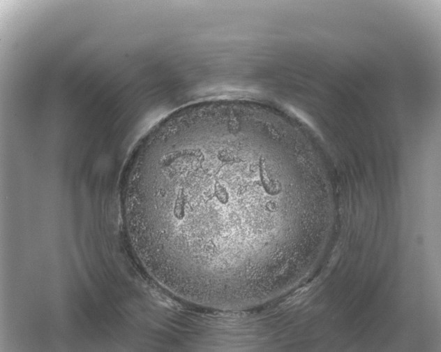 X0000062141267200512121232