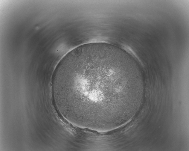 X0000062141268200512121232