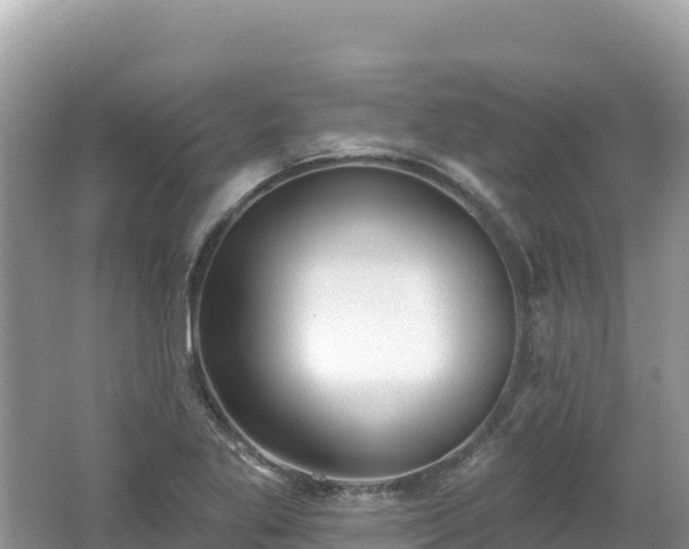 X0000062141269200512121232