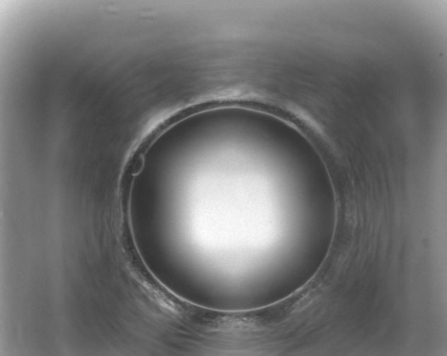 X0000062141270200512121232