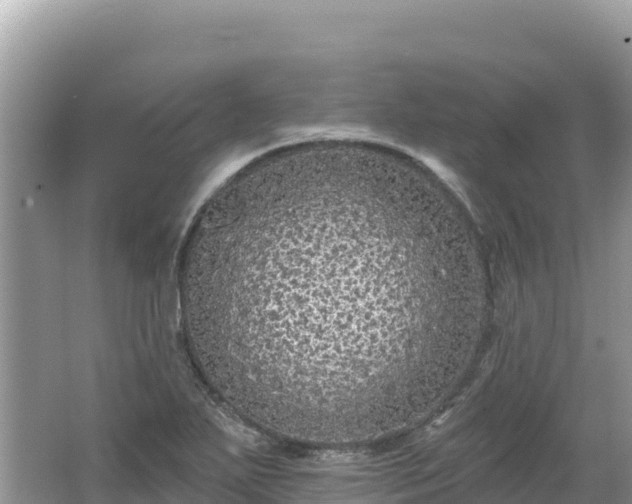 X0000062141271200512121232