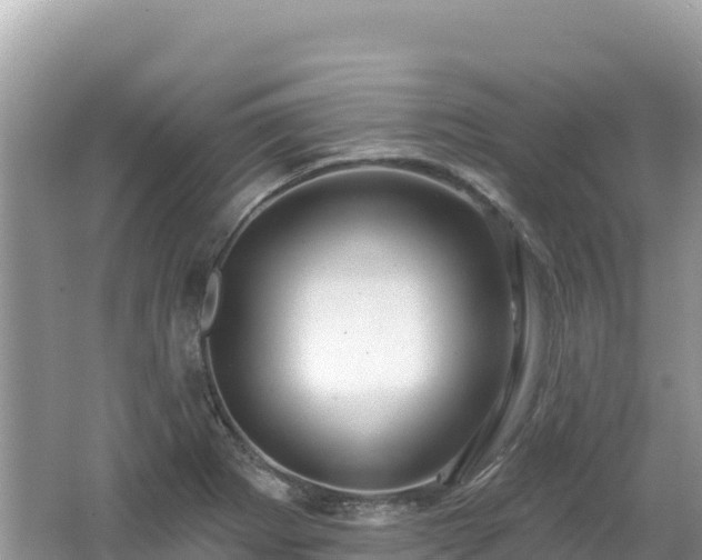 X0000062141273200512121232