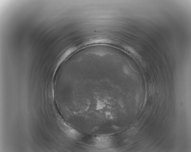 X0000062141274200512121232