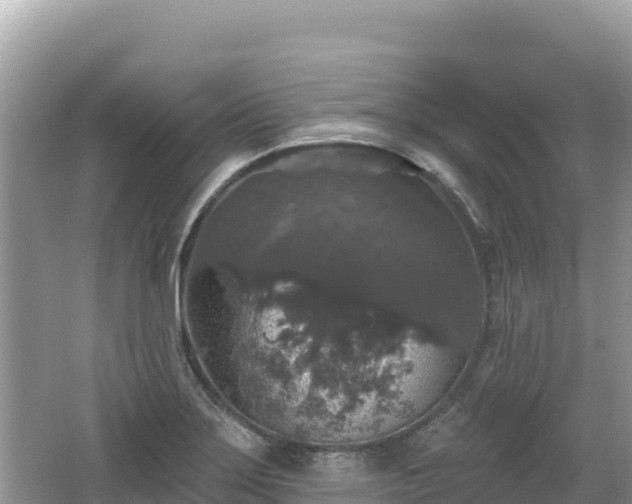 X0000062141275200512121232