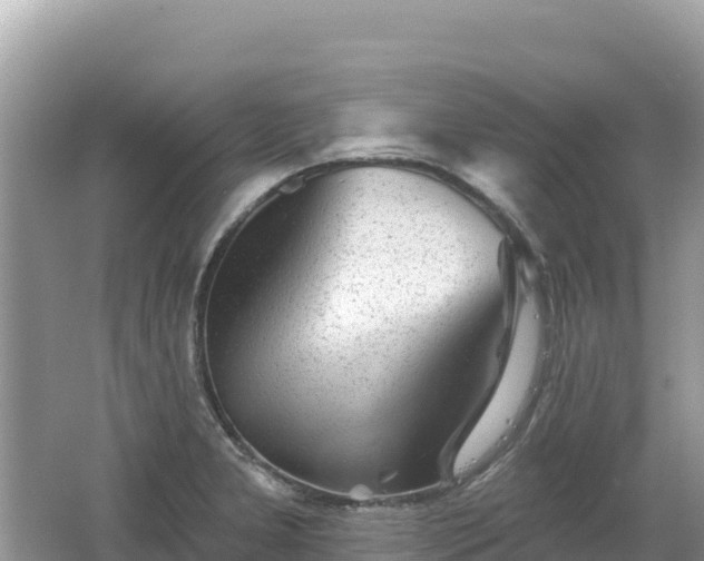 X0000062141277200512121232