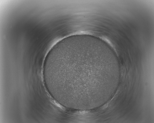 X0000062141278200512121232